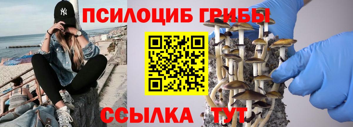 Псилоцибиновые грибы Magic Shrooms  Вход с VPN  Канаш 